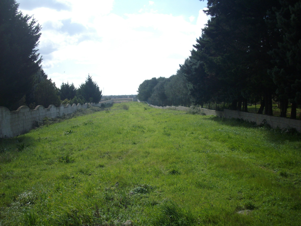 terreno agricolo MQ 16000 Muro Leccese