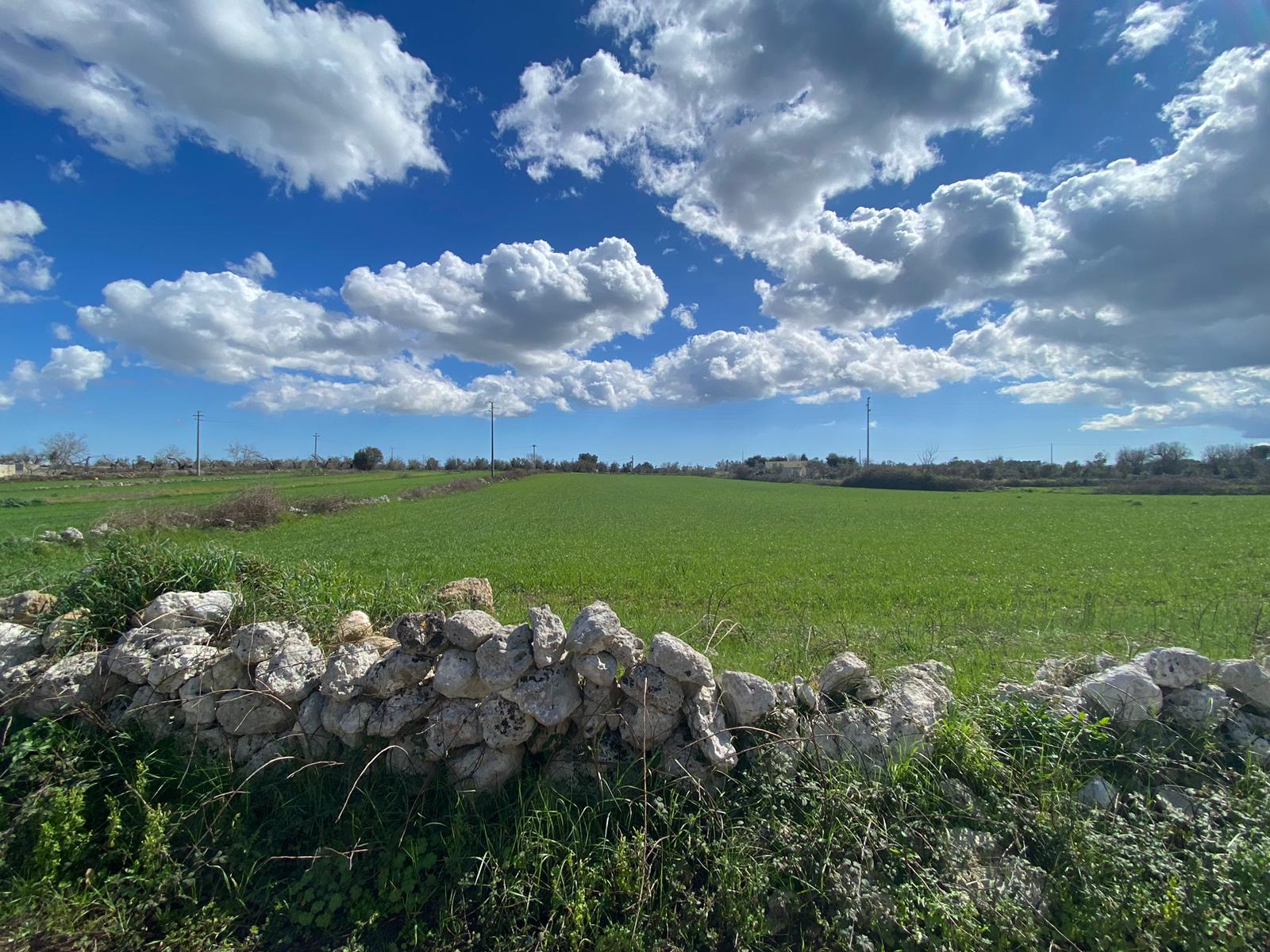 terreno agricolo MQ 8460 Sanarica